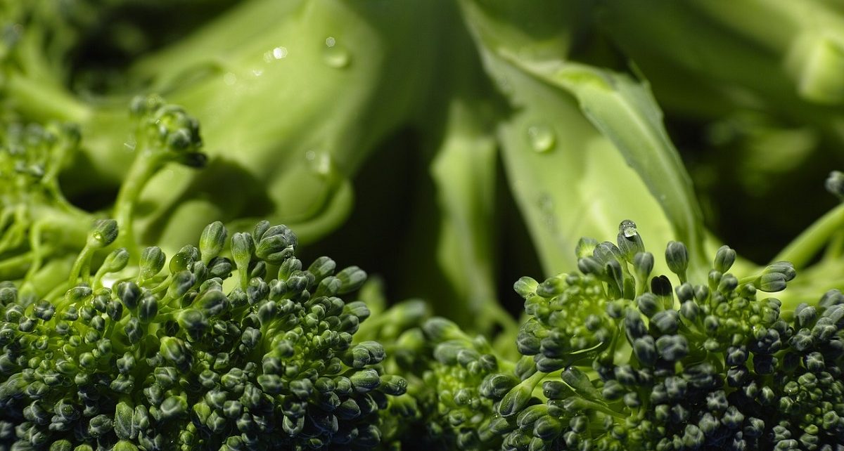 Broccoli antitumore