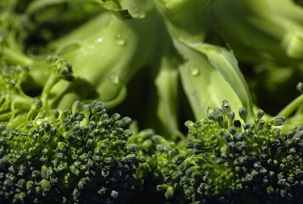 Scoperta nei broccoli la proteina antitumore Virtua Salute