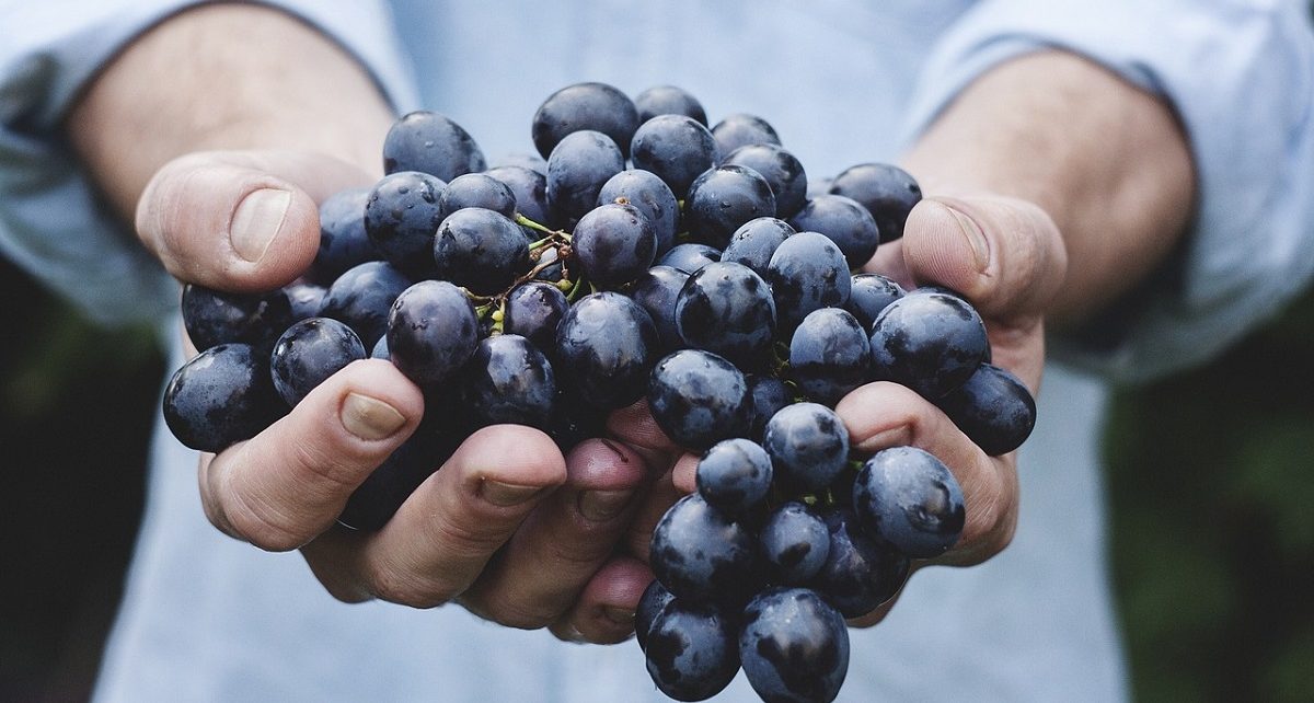 sicurezza alimentare