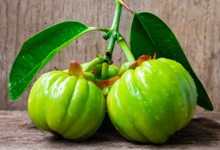 garcinia cambogia e ipertensione